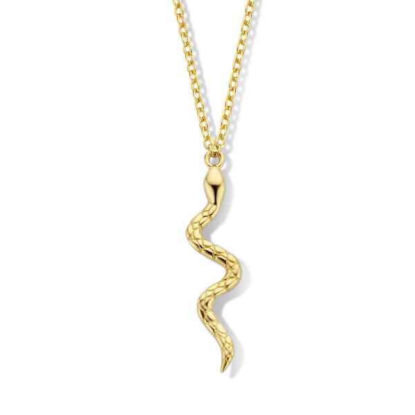 Ketting met hanger B1D05