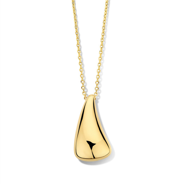 Ketting met hanger N4P54