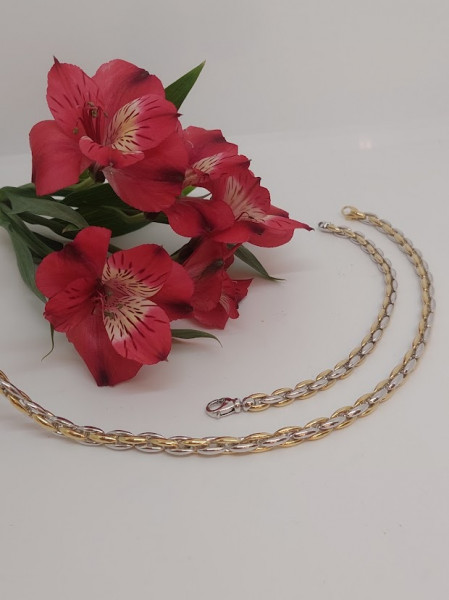 bicolor gouden collier