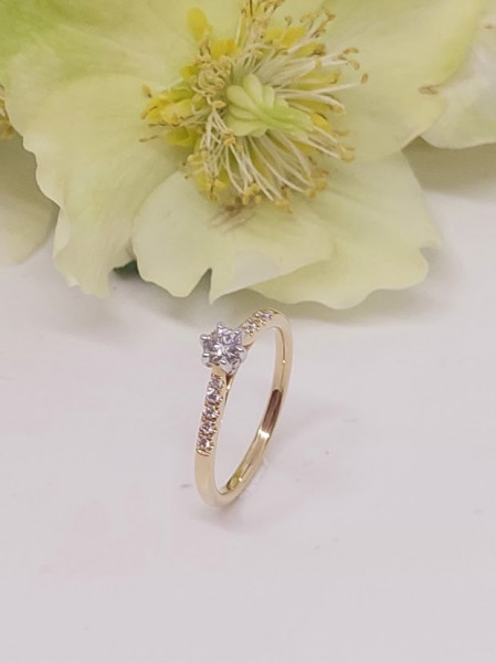 Bicolor gouden ring