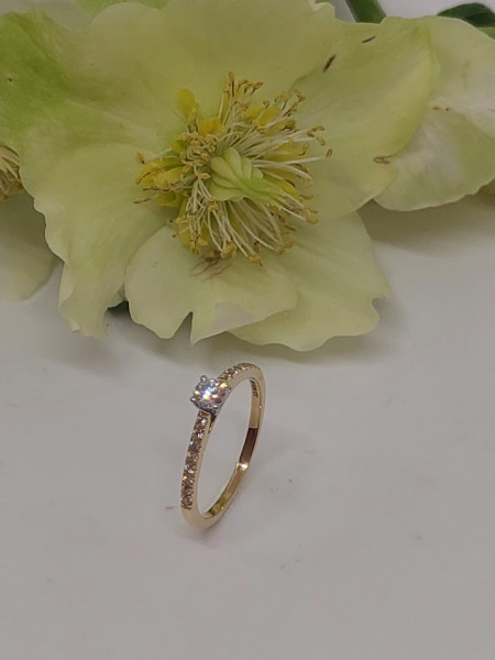 Bicolor ring