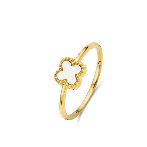 Ring N3Z60