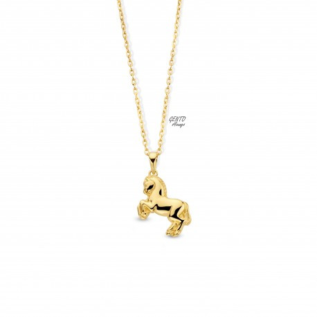 Ketting met hanger GK683