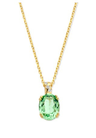 Ketting met hanger N5F55