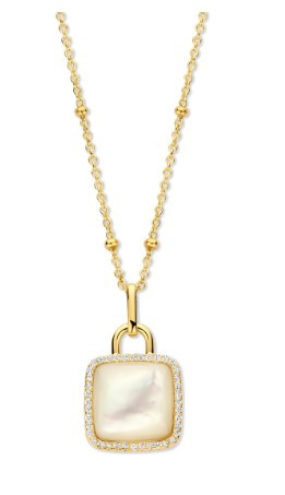 Ketting met hanger N5I52