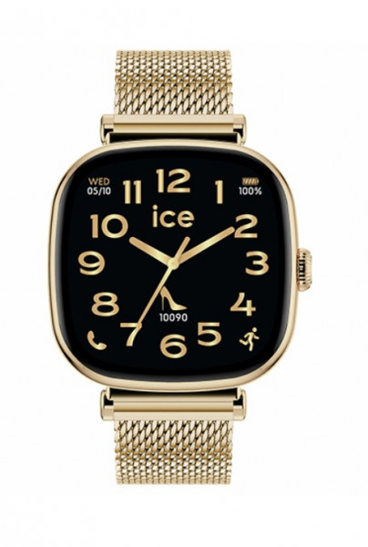 ICE smart SQ 2.0