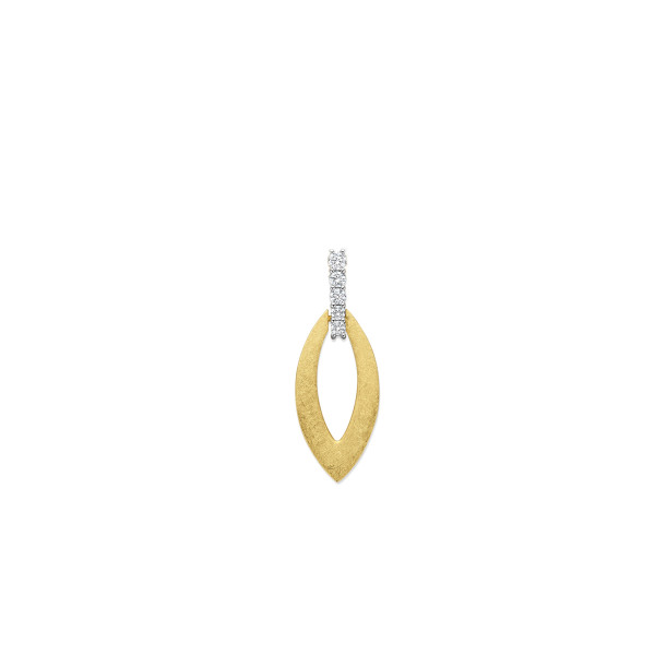 Bicolor gouden hanger