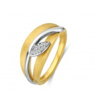 Bicolor gouden ring