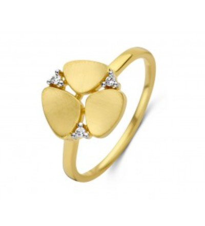 Bicolor gouden ring
