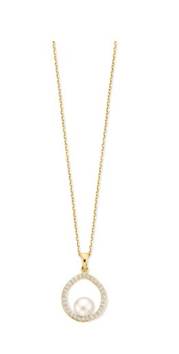 Ketting met hanger N6I74