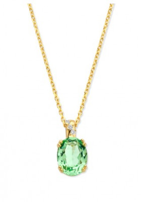 Ketting met hanger N5F55