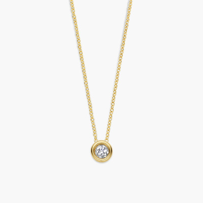 Halsketting met hanger